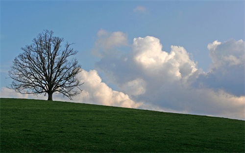 李老新村