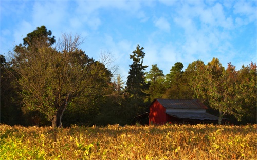 银河山庄,花筑·芙蓉镇银河山庄